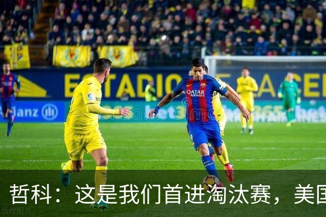 哲科：这是我们首进淘汰赛，美国是东道主但波黑走到这绝非偶然