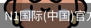 N1国际